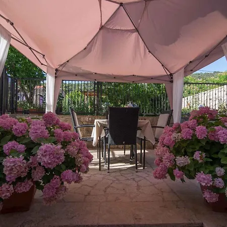 In 26456 Lussingrande